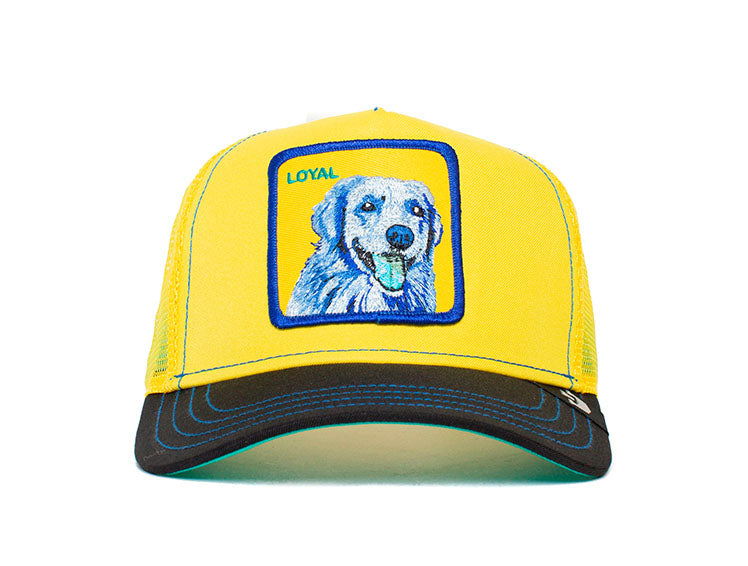 Jockey Goorin Doggy Trip Unisex Amarillo