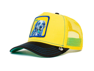 Jockey Goorin Doggy Trip Unisex Amarillo