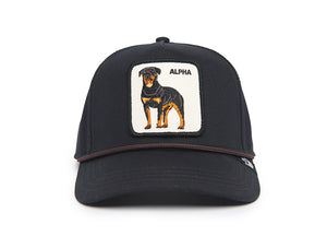 Jockey Goorin Alpha Dog 100 Unisex Negro