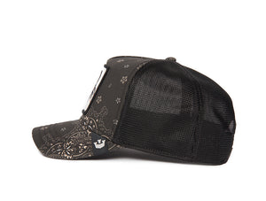 Jockey Goorin  Diamonds Pearls Unisex Negro